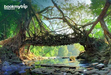 Bookmytripholidays | Destination Shillong